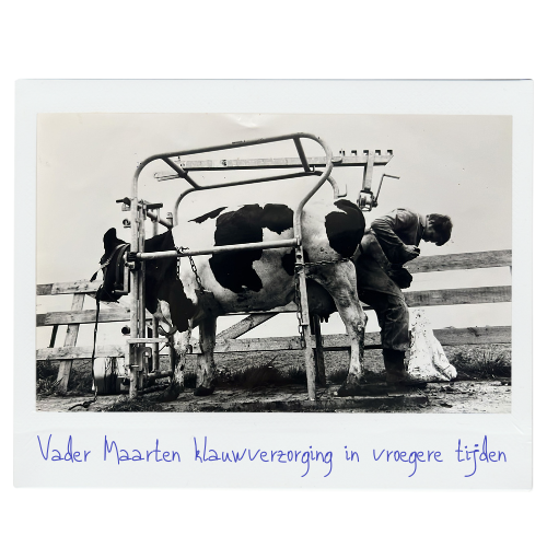 klauwverzorging door Vader Maarten
