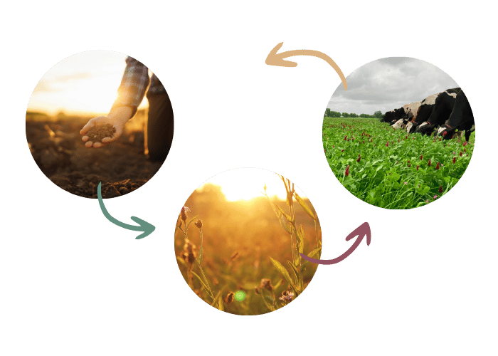 natuurinclusieve landbouw